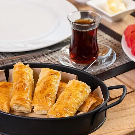 شقة فندقية كيرم الفندقية غوجيك